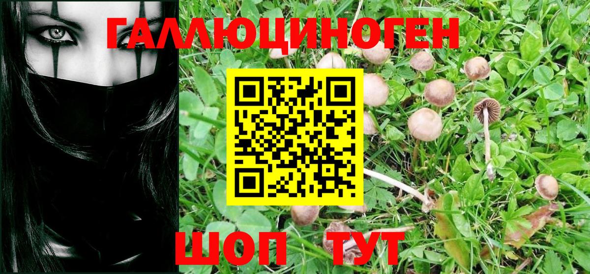 Псилоцибиновые грибы мухоморы Полысаево