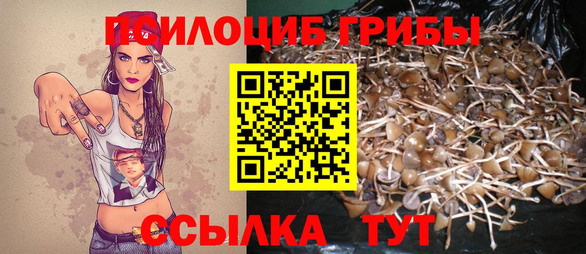 Галлюциногенные грибы Magic Shrooms  Галлюциногенные грибы Psilocybine cubensis  Вход с VPN  Полысаево 